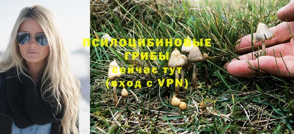 дмт Армянск